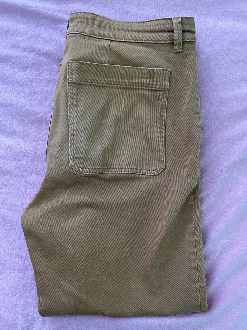 Everlane Cropped Ankle Pants in golden brown